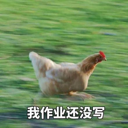 下载快对作业_下载快对作业_下载快对作业