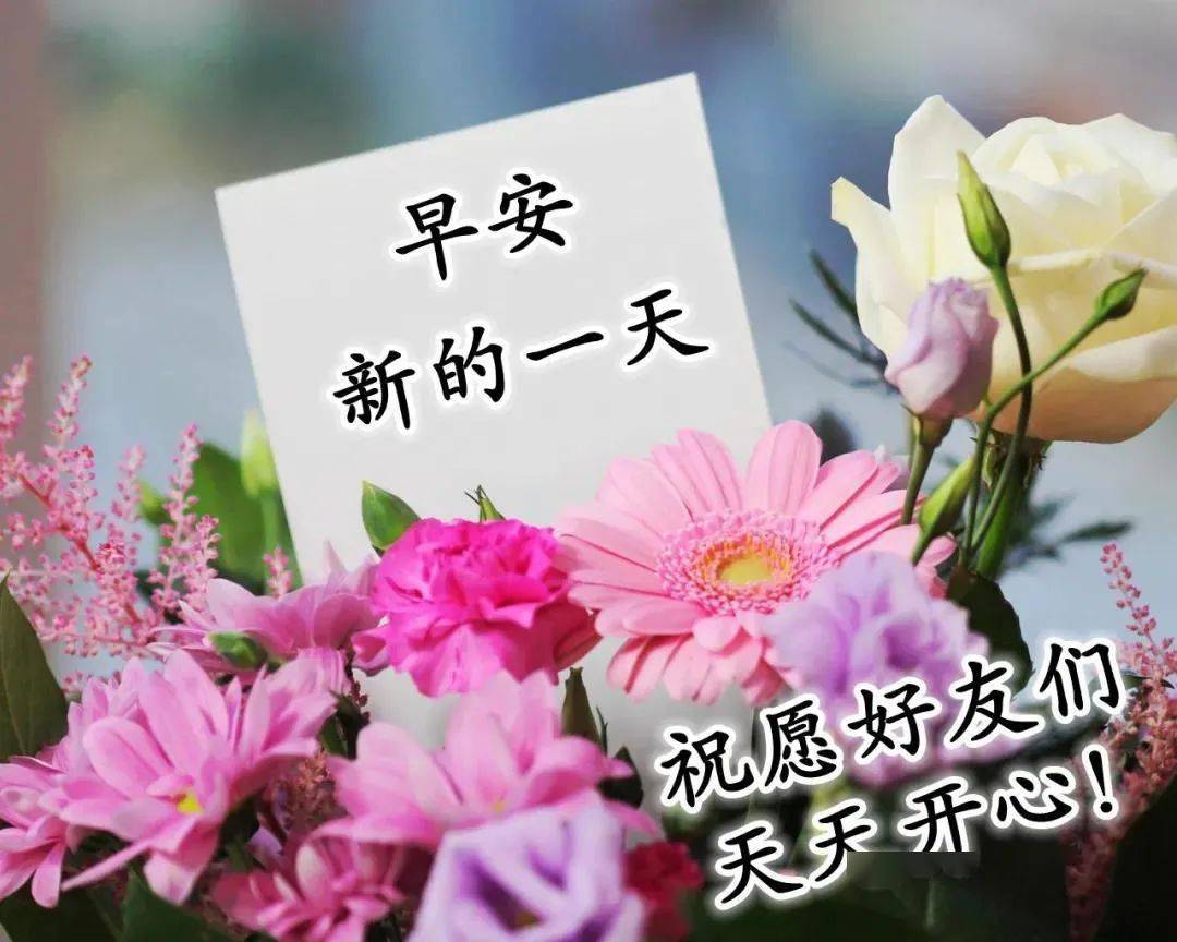 真白花音_白花音乐_白花音音