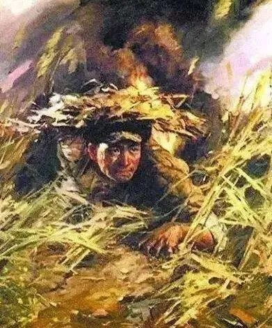 战华_战华亭_战华卡组