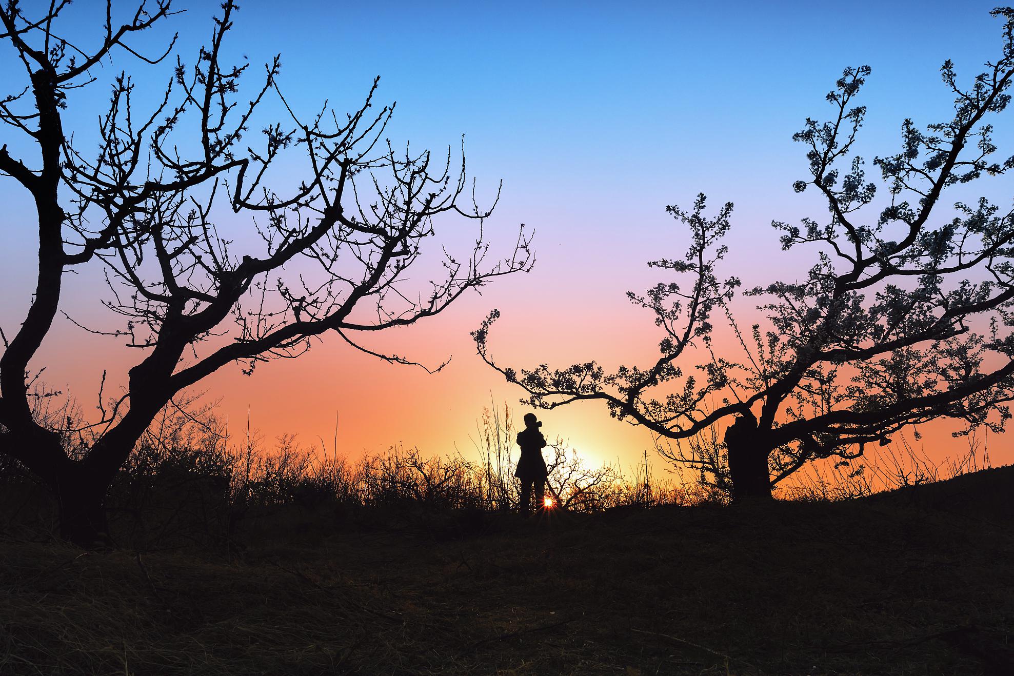 入间铳兔drb_入间铳兔日文名_入间铳兔