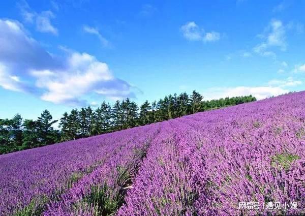 微博杜冥鸦2月8日动态_biu杜冥鸦微博_杜冥鸦微博