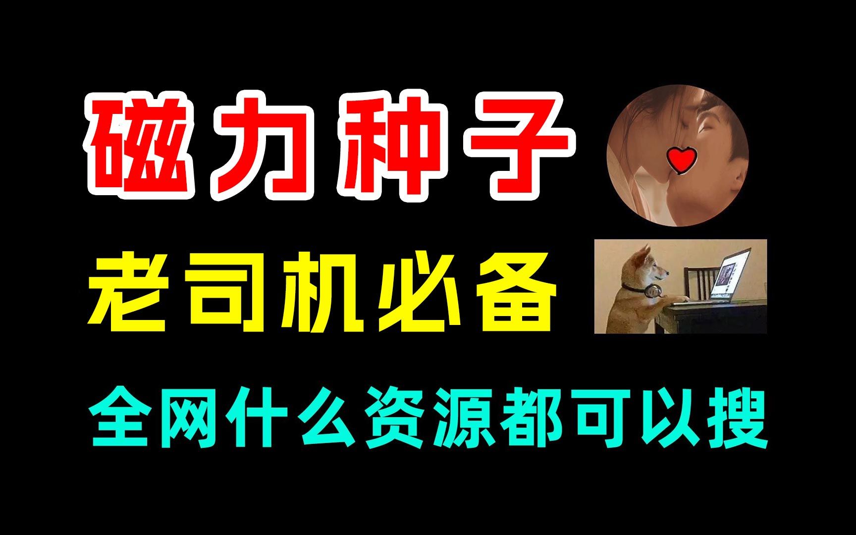 bt磁力种子搜索器_种子搜索磁力引擎搜索_这六款磁力种子搜索神器软件