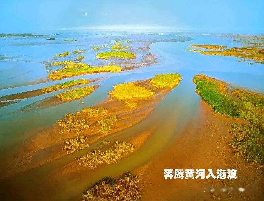 黄河流域文化_黄河流域的文化遗址是什么_黄河流域文化区口诀