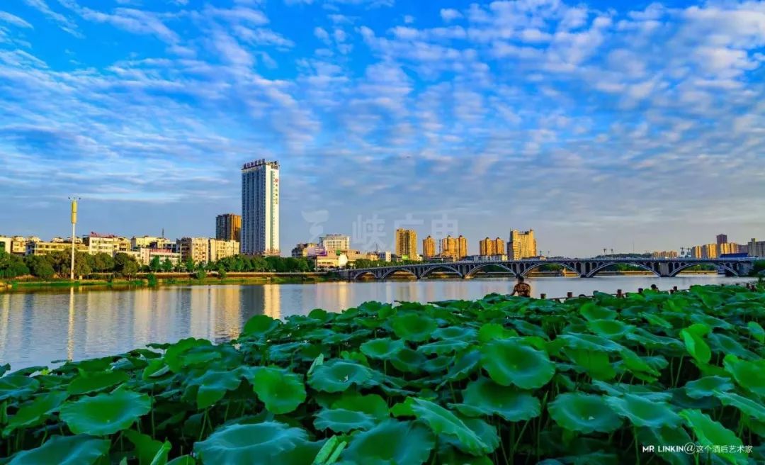 好坏星性格特性配招_好坏星_好坏星进化