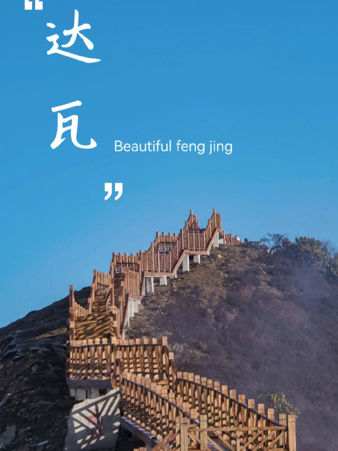 好坏星_好坏星进化_好坏星性格特性配招