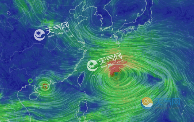 好坏星_好坏星性格特性配招_好坏星进化