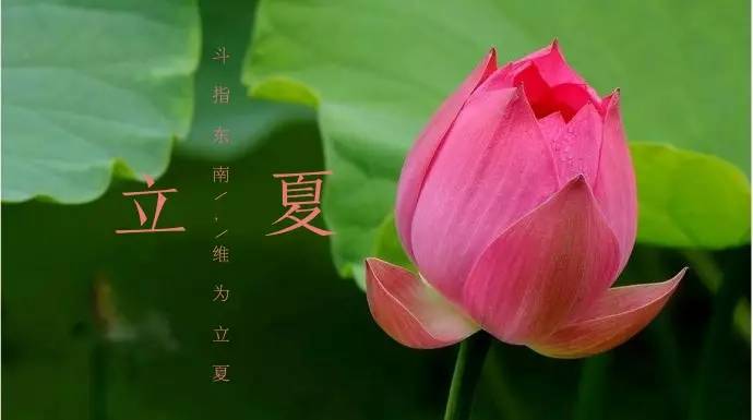 立夏一候_立夏一候_立夏一候