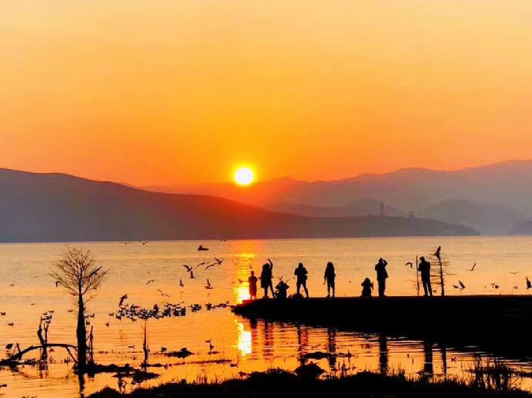 诚士郎鸫结局_鸫诚士郎_诚士郎鸫怎么读