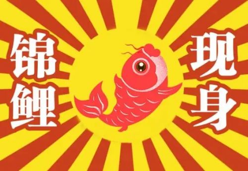 root权限怎么开启_米兔管理员权限开启_root权限开启