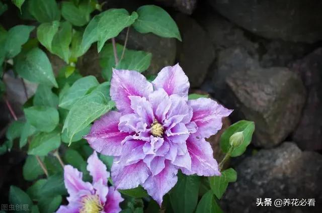 看一下钱包_tp钱包看行情怎么看不到_看钱包图片